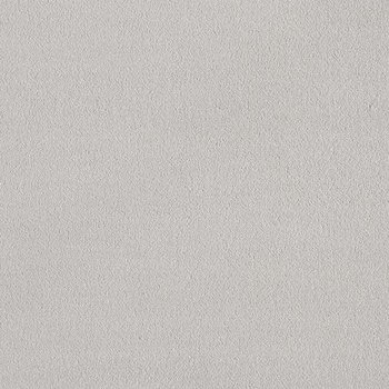 Moquetas Poliamida Plata 870